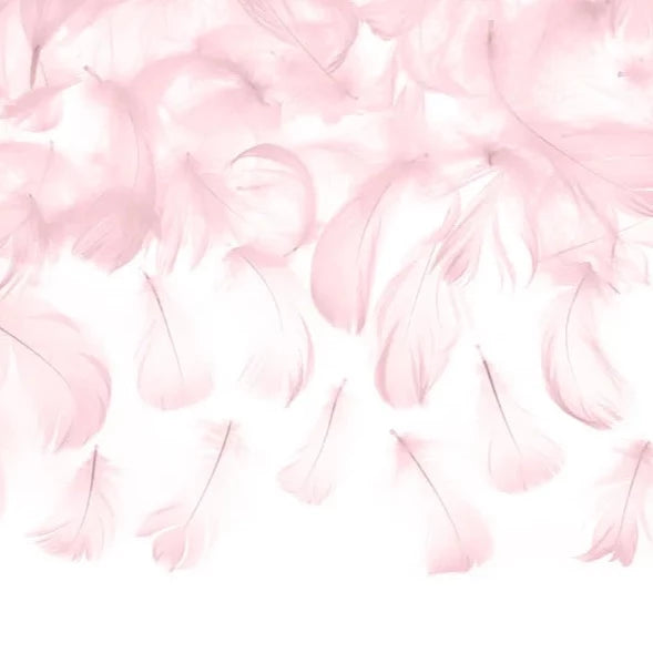 Ukrasno perje - Pink