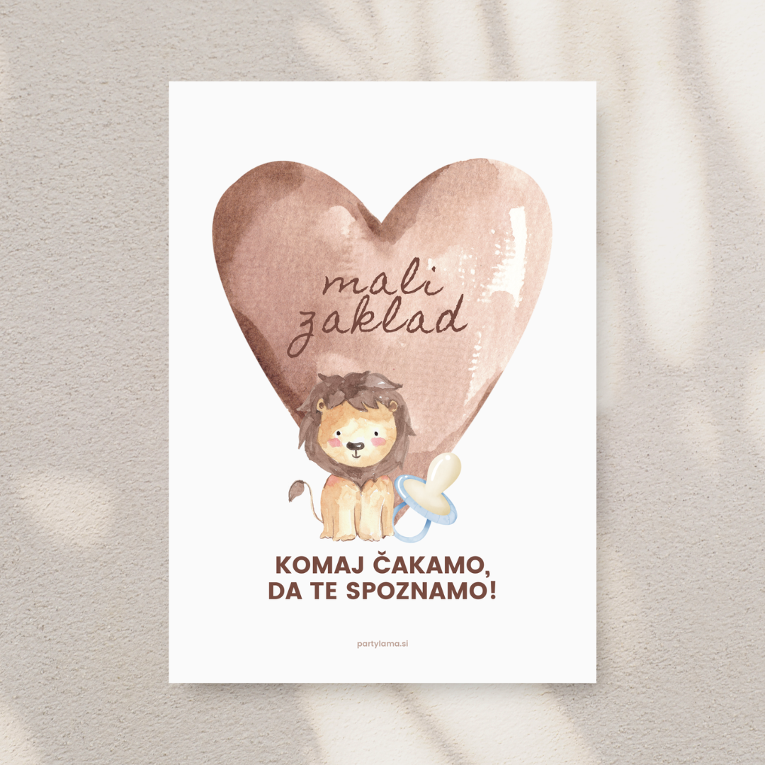 Kartica - Mali zaklad, levček